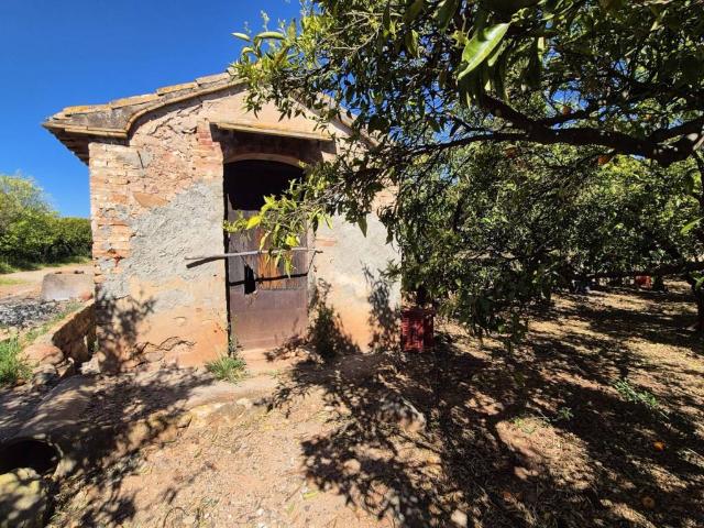 Terreno en Venta en Vila real