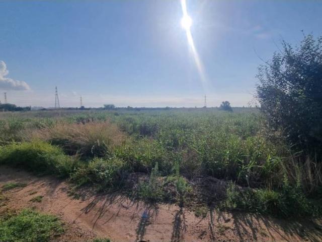 Terreno en Venta en Vila real