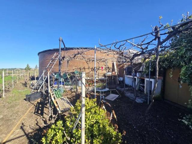 Terreno en Venta en Vilaflor de Chasna