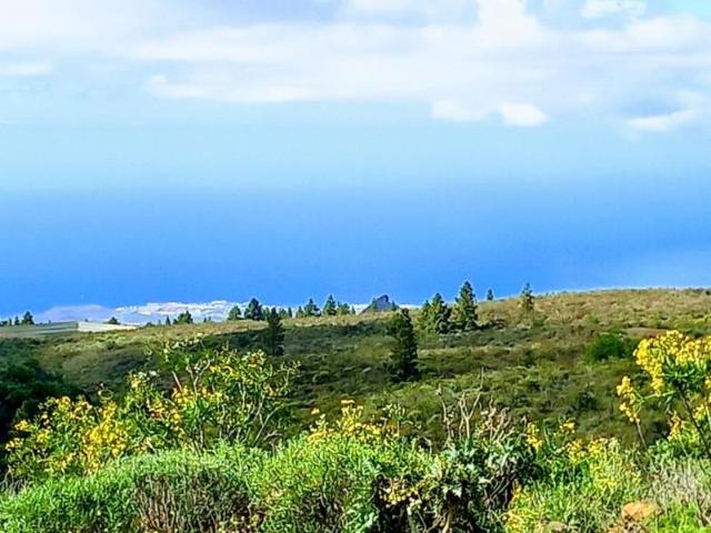 Terreno en venta en Vilaflor, Vilaflor centro tenerife
