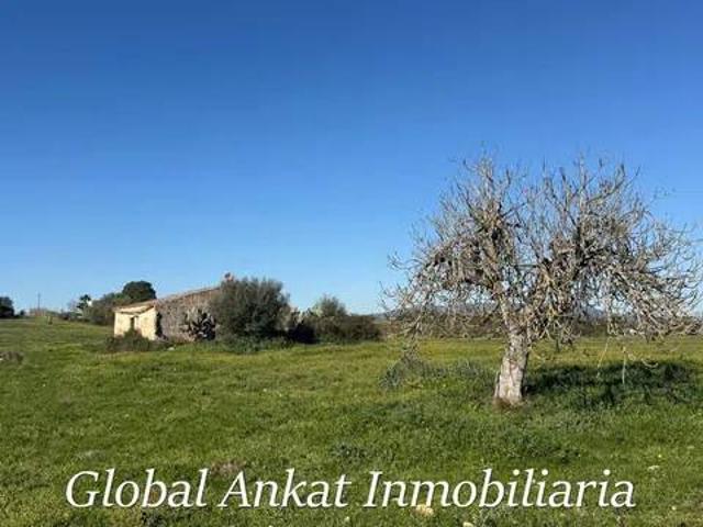 Terreno en Venta en Vilafranca de Bonany
