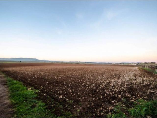 Terreno en Venta en Vilafranca de Bonany