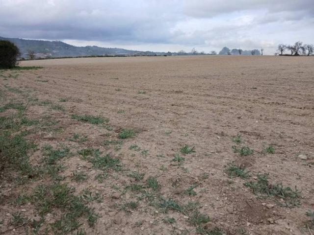 Terreno en Venta en Vilafranca de Bonany