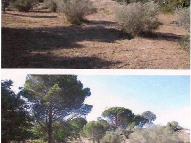 Terreno en Venta en Vilajuïga