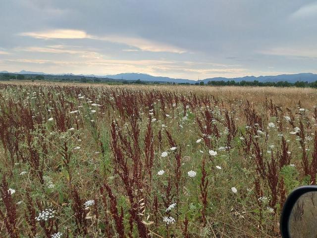 Terreno en venta en Vilajüiga, de 14.000 m² por 30.000