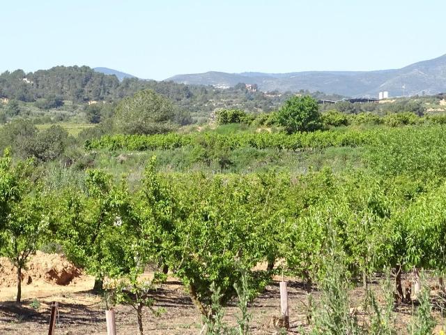 Terreno en venta en Vilamarxant