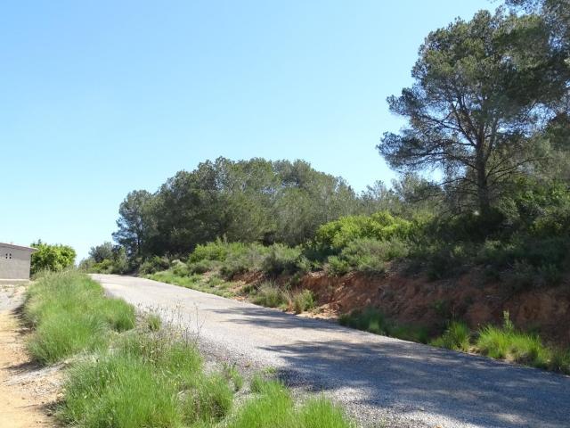 Terreno en venta en Vilamarxant