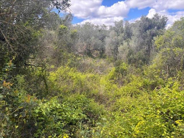 Terreno en Venta en Vilanova i la Geltrú