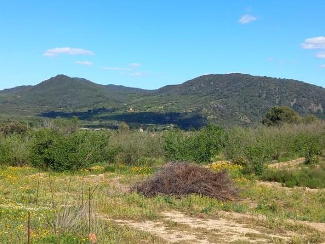 Terreno en venta en Vilaplana, Cataluña
