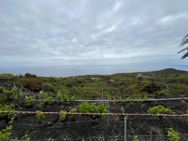 Terreno en Venta en Villa de Mazo
