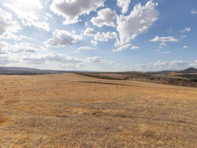 Terreno en Venta en Villa de Otura