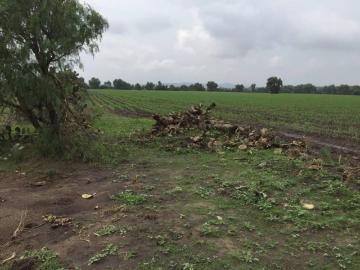 Terreno en venta en Villa de Tezontepec Centro, Villa de Tezontepec, Hidalgo