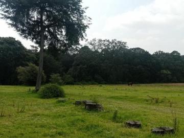 Terreno en venta en Villa del Carbón Estado de México