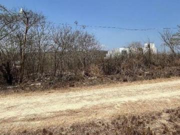 TERRENO EN VENTA EN VILLA FLORENCIA
