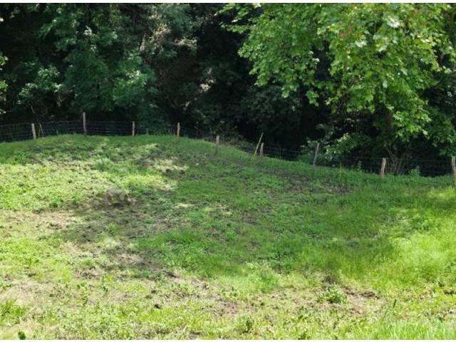 Terreno en Venta en Villacarriedo