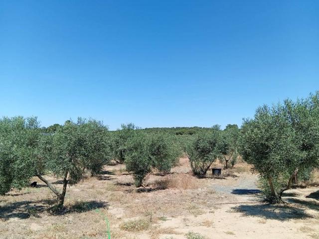 Terreno en Venta en Villablanca