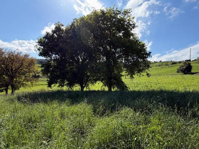 Terreno en Venta en Villaescusa Cantabria