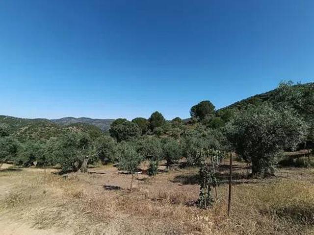 Terreno en Venta en Villaharta