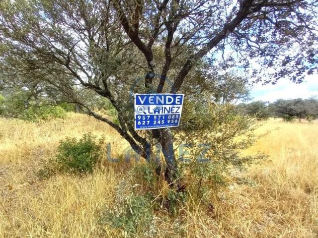 Terreno en venta en Villaharta, Villaharta, Carretera Badajoz Granada