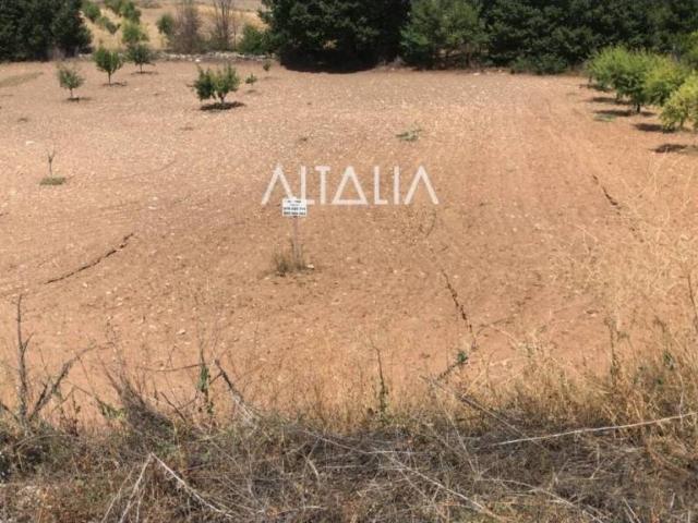Terreno en Venta en Villalba del Rey