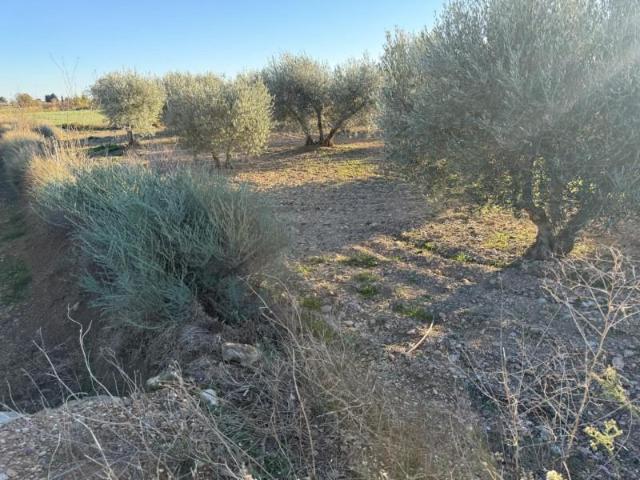 Terreno en venta en Villamayor de Gállego, Aragon