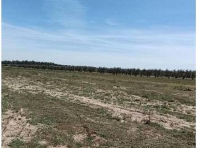 Terreno en Venta en Villamanrique de la Condesa