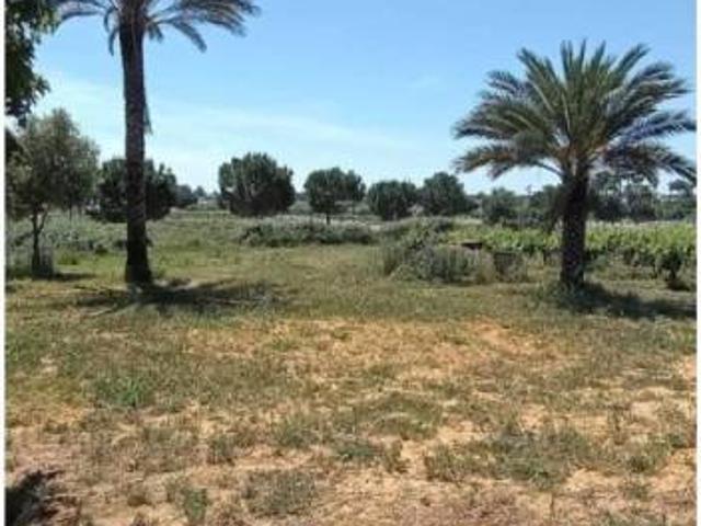 Terreno en Venta en Villamanrique de la Condesa