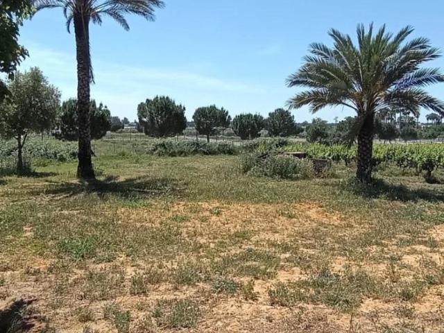 Terreno en venta en Villamanrique de la Condesa, Villamanrique de la Condesa