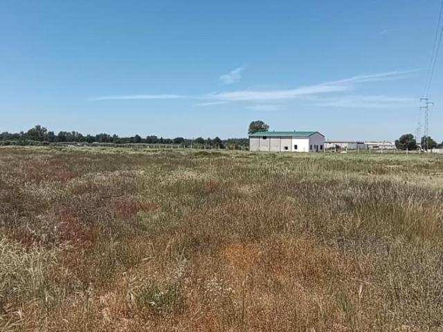 Terreno en venta en Villamanrique de la Condesa, Andalucia