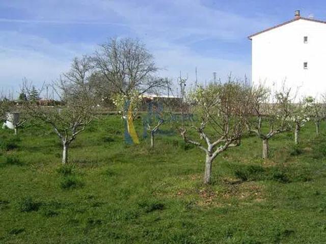 Terreno en Venta en Villamañán