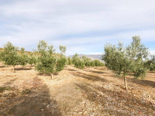Terreno en Venta en Villamena