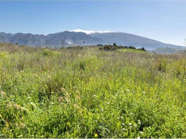 Terreno en Venta en Villamena