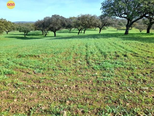 Terreno en Venta en Villanueva de los Castillejos