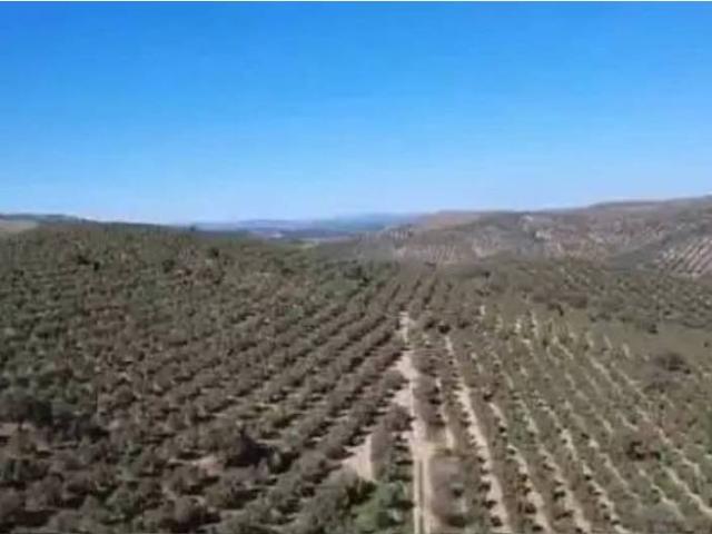 Terreno en Venta en Villanueva de la Concepción