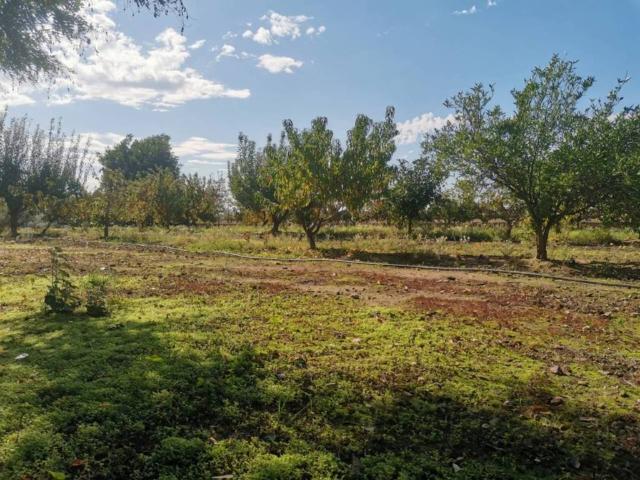 Terreno en Venta en Villanueva de La Serena