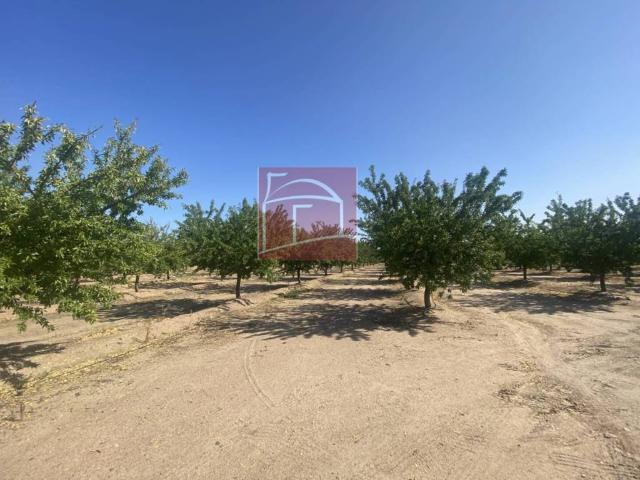 Terreno en Venta en Villanueva de La Serena