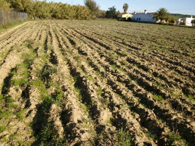 Terreno en Venta en Villanueva de La Serena