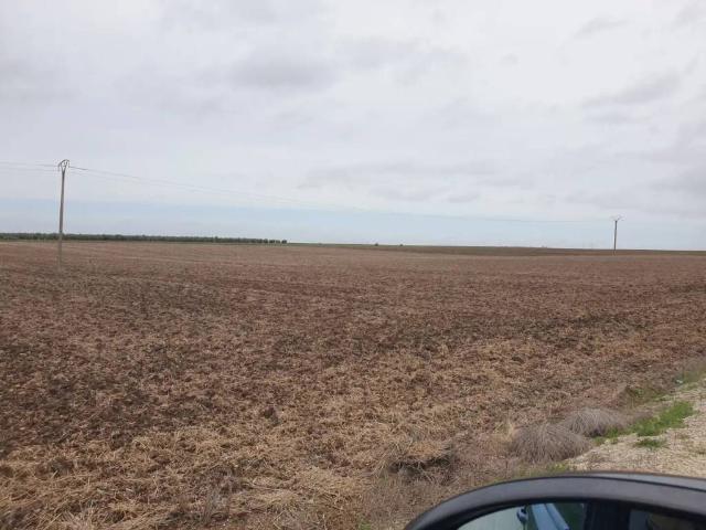 Terreno en Venta en Villanueva de La Serena