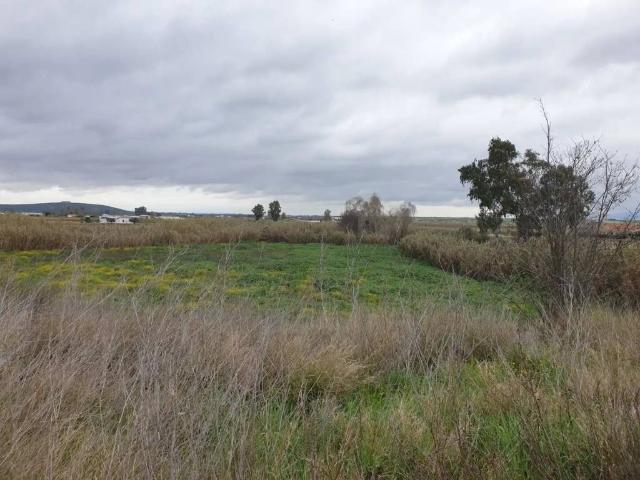 Terreno en Venta en Villanueva de La Serena
