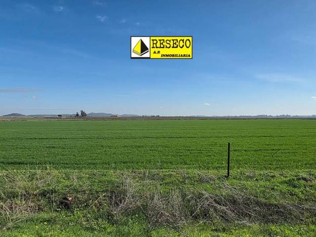 Terreno en Venta en Villanueva de La Serena