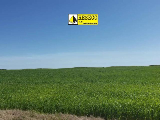 Terreno en Venta en Villanueva de La Serena