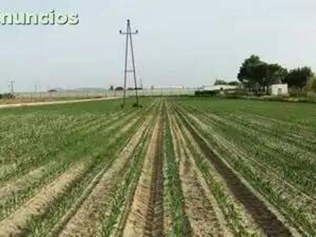 Terreno en Venta en Villanueva de La Serena