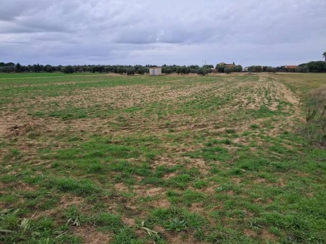 Terreno en Venta en Villanueva de La Serena