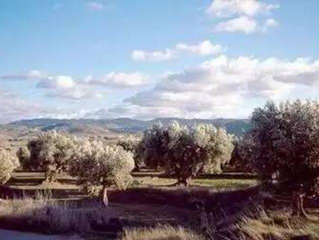 Terreno en Venta en Villanueva de La Serena