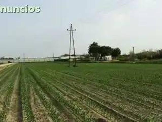 Terreno en Venta en Villanueva de La Serena
