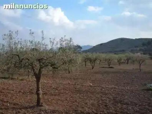 Terreno en Venta en Villanueva de La Serena