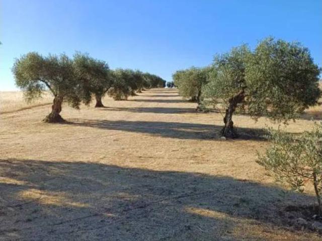 Terreno en Venta en Villanueva de La Serena