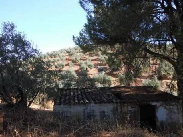 Terreno en Venta en Villanueva de La Reina
