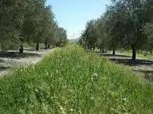 Terreno en Venta en Villanueva de La Reina
