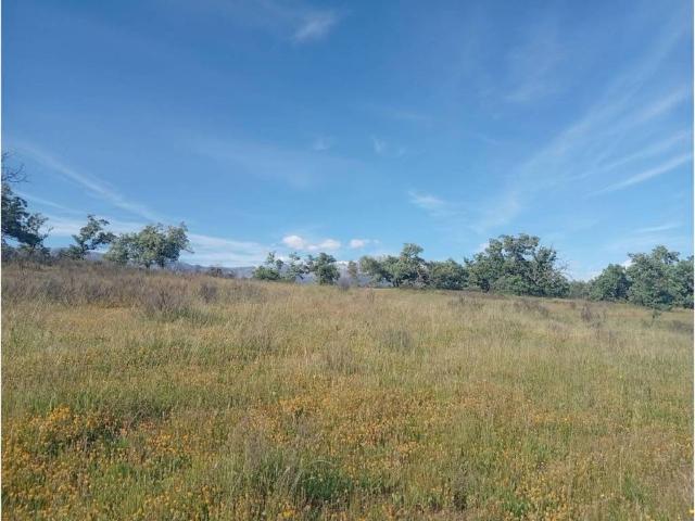 Terreno en Venta en Villanueva de la Vera